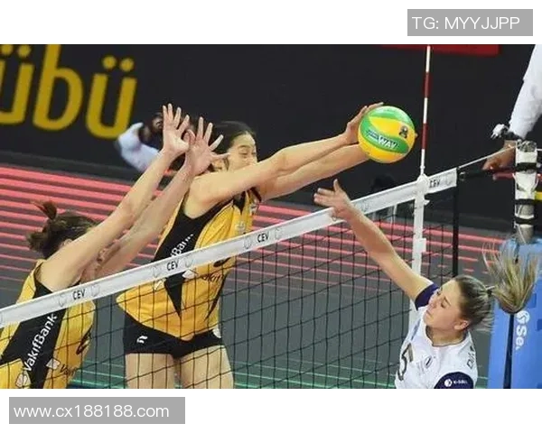 深度对话：杨芳在排球场上的奋斗与成长之路