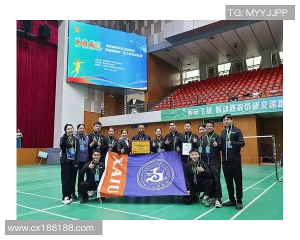 西安羽毛球队实力深度剖析与对比研究