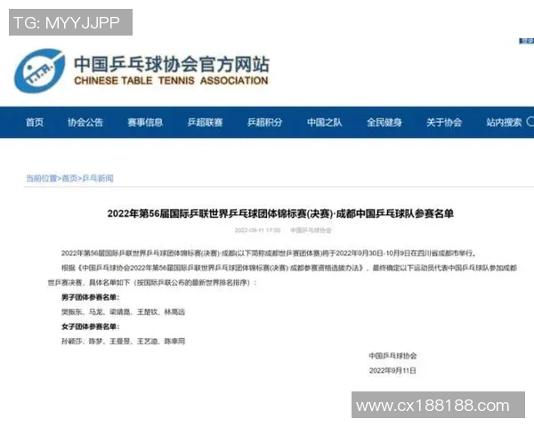 乒乓球深度解析：揭秘北京乒乓球队的战术布局与训练策略