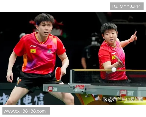 南京乒乓球队在世界杯中的个人能力表现分析与点评